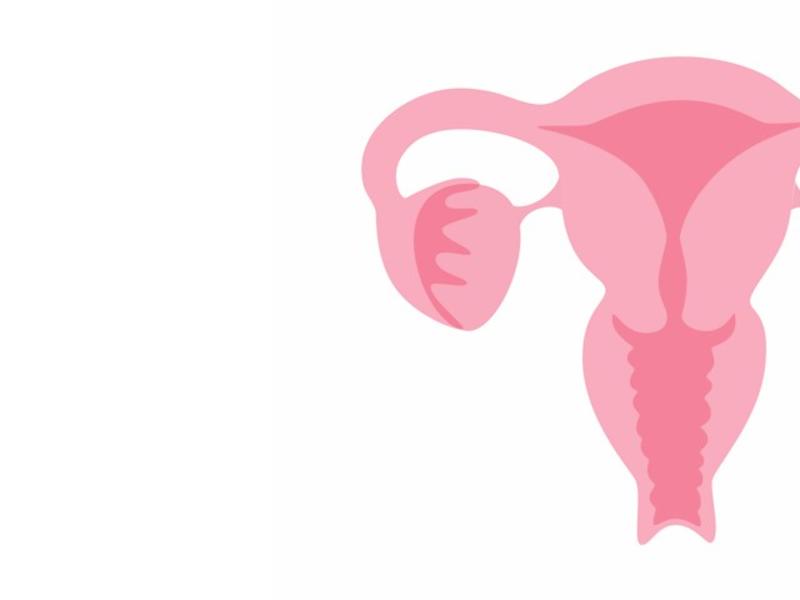Fibroid Treatment Banner