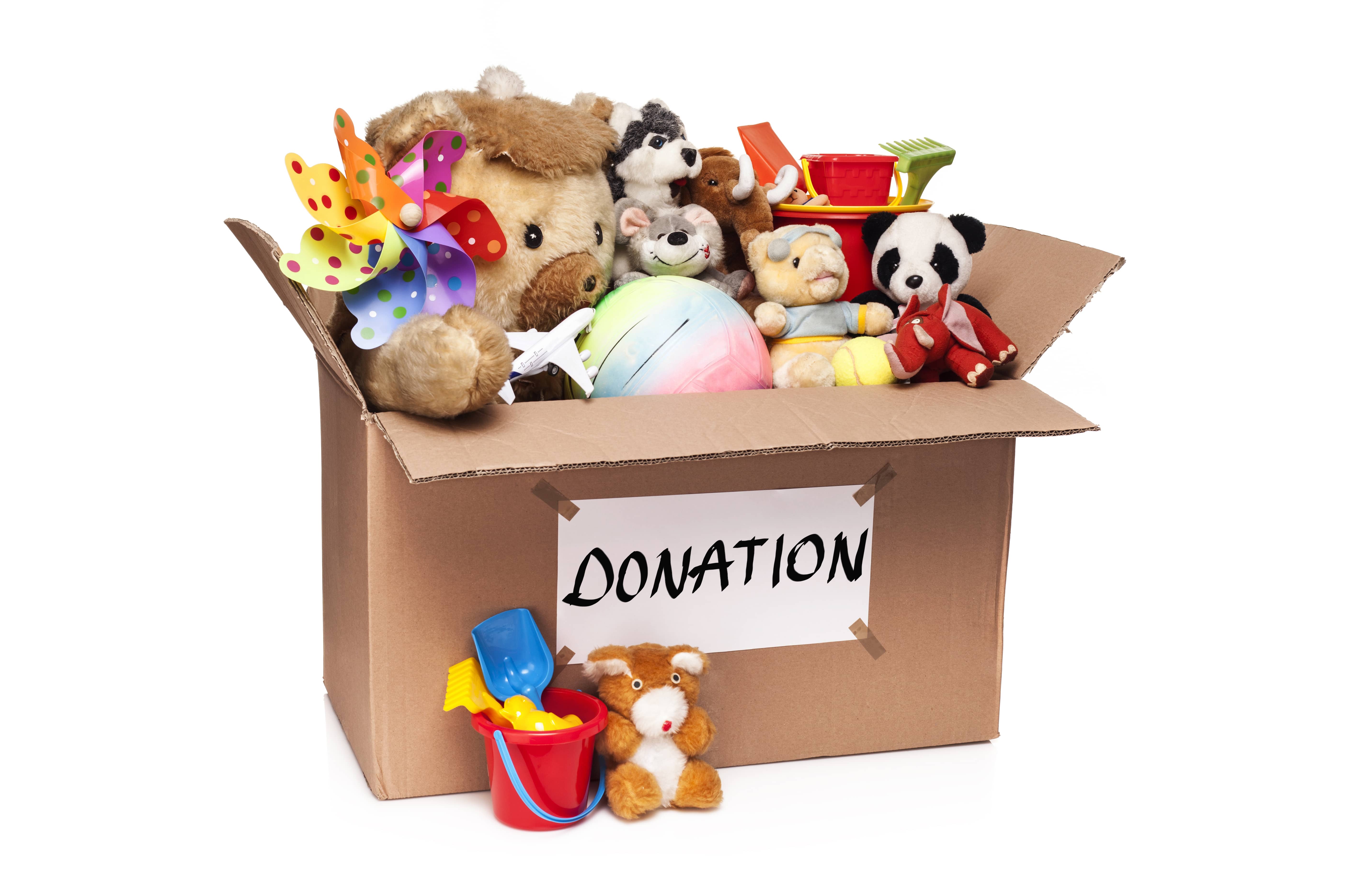 Donate animals. Toy donation.