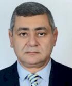 Ehab Khamis Elhefnawi
