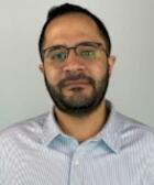 Zubair Shafique