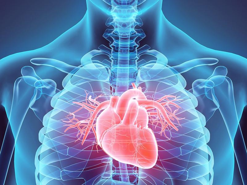 Comprehensive Cardiology Care: Nurturing Heart Health