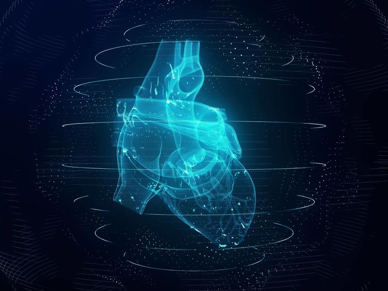 Cardiac imaging photo