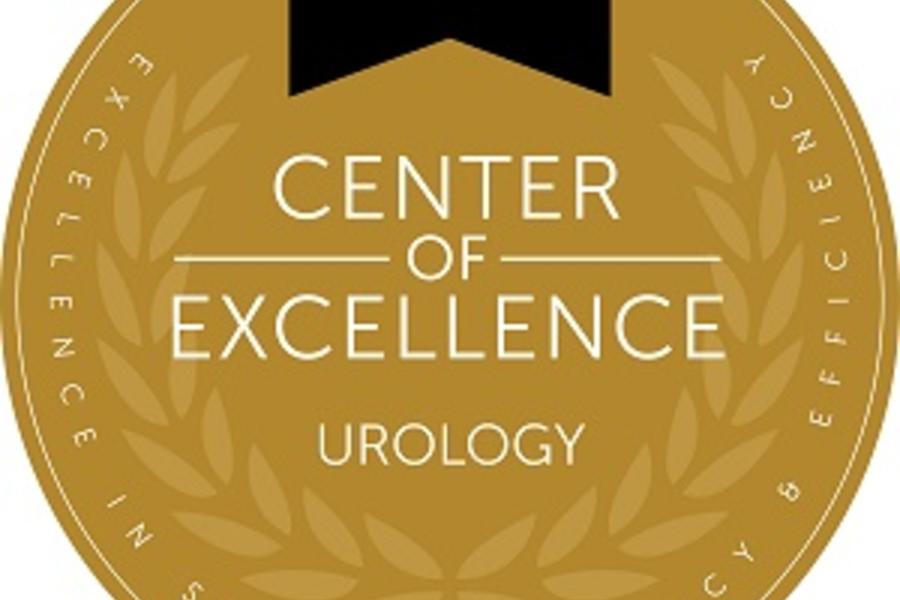 Center of Excellence seal
