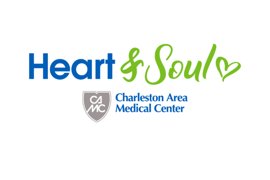 Heart and Soul logo