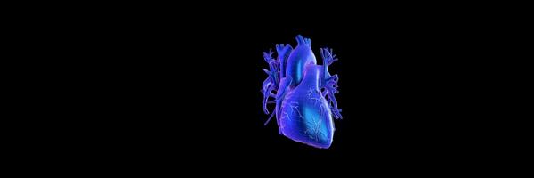 Vascular Surgery Hero Image