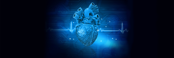 Heart & Vascular Banner