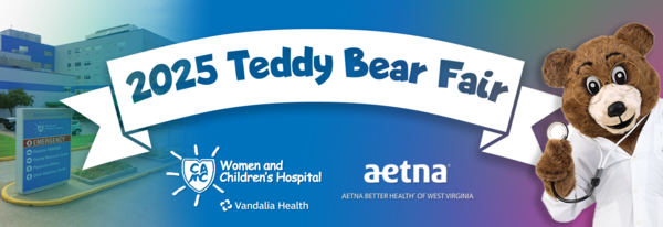 Teddy Bear Fair Banner