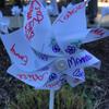 Lung cancer awareness celebration pinwheel