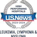 U.S. News LLM 2023-24