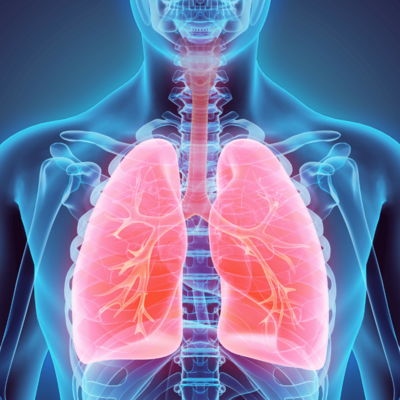 Photo of lung screening image