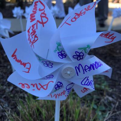 Lung cancer awareness celebration pinwheel